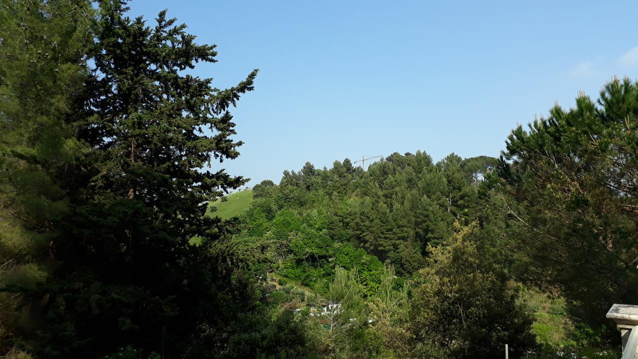 مبيت وإفطار أسكولي بيتشينو Parco Dei Gelsomini المظهر الخارجي الصورة
